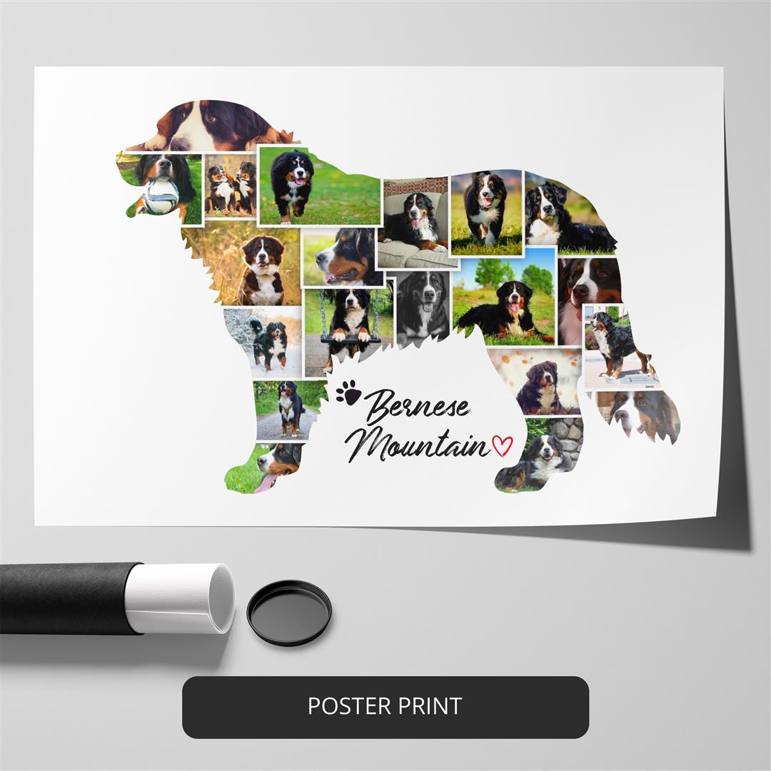 Captivating Labrador Retriever Photos in a Stunning Collage