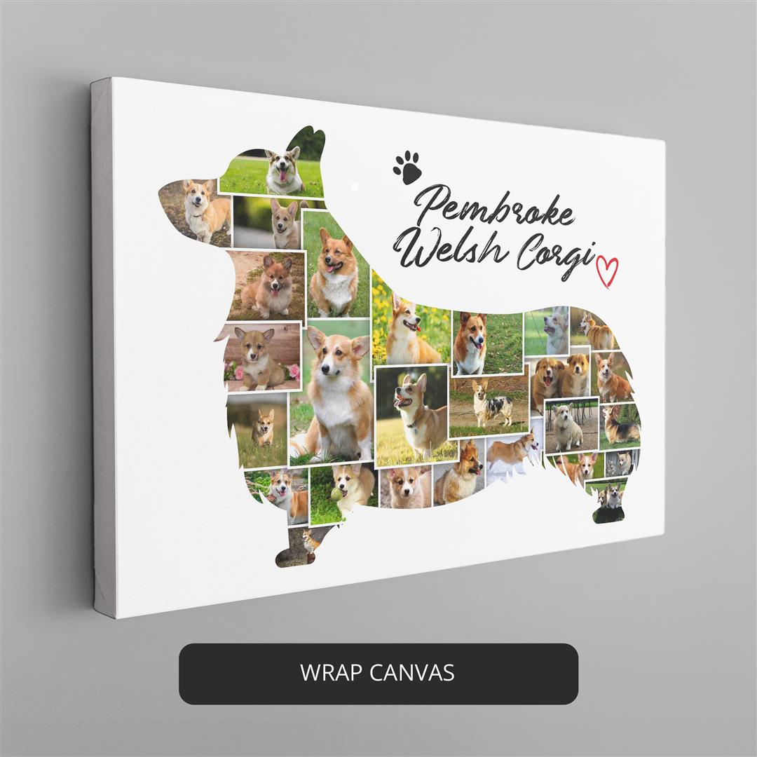 Captivating Shetland Sheepdog Photos - Beautifully Collaged