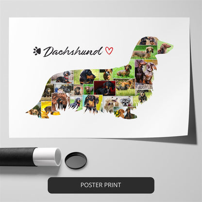 Australian Shepherd Photos Collage: A Stunning Tribute to Your Loyal Companion