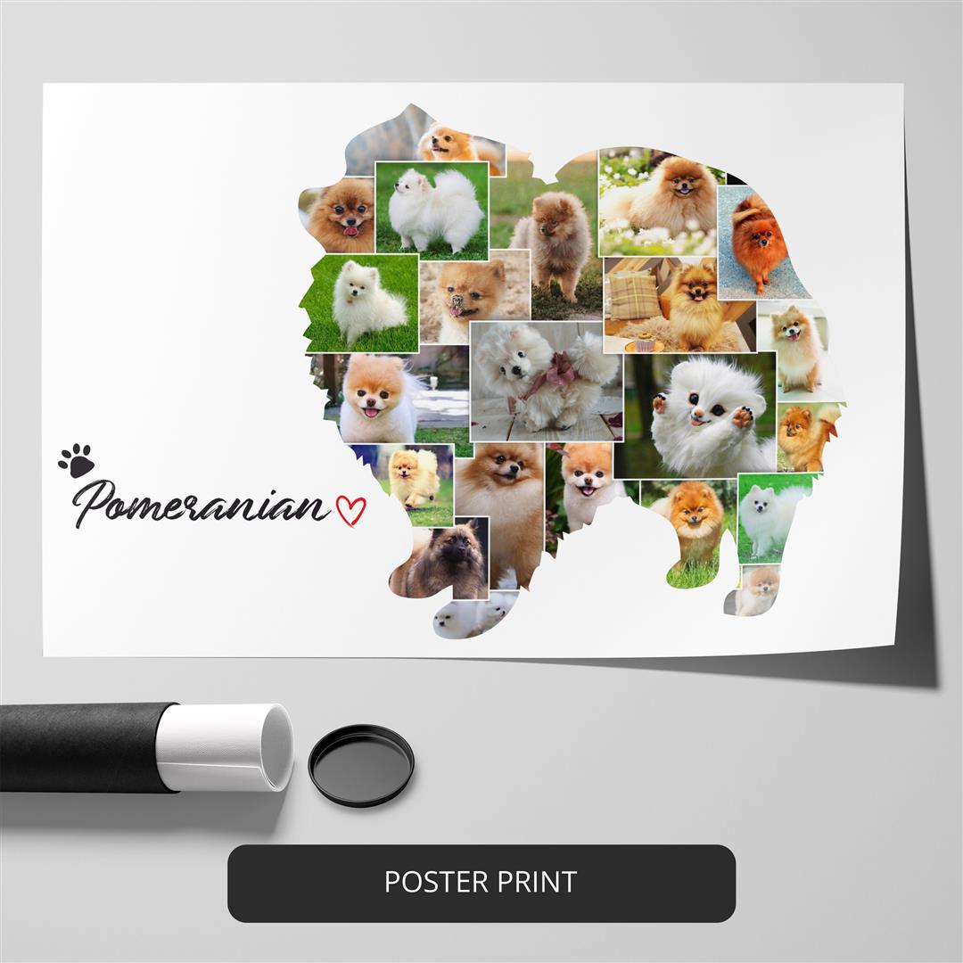 Captivating Bernese Mountain Dog Photos: Handcrafted Collage Art